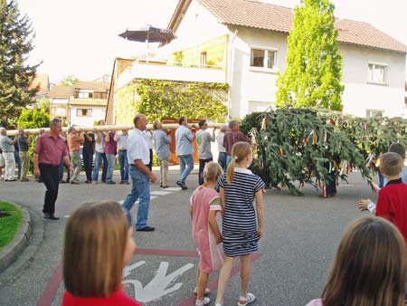 maibaum02