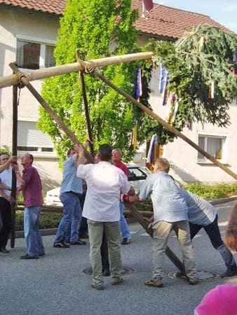 maibaum03