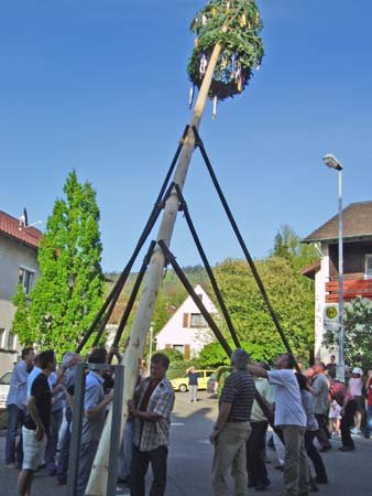 maibaum05