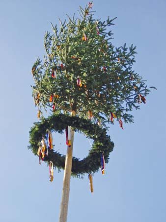 maibaum06