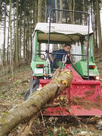 waldweg04